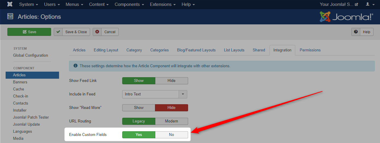 Enabling Custom Field