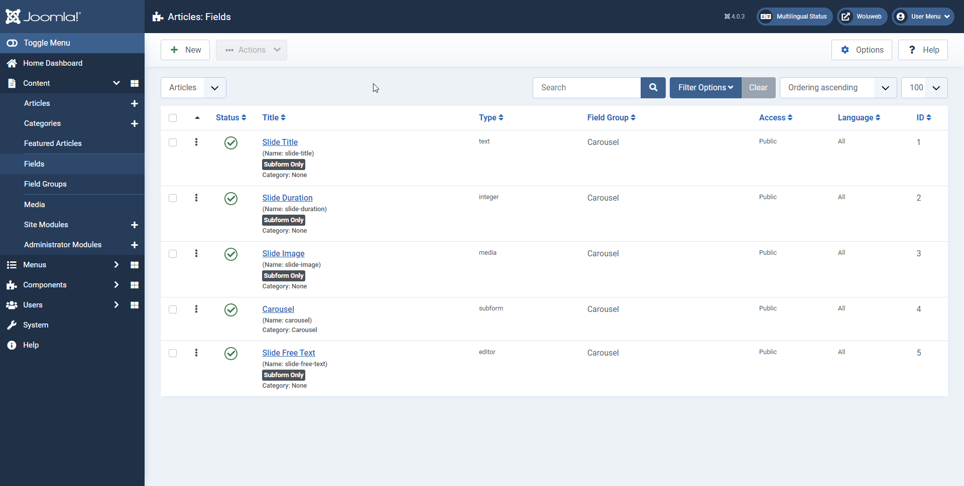 All Custom Fields for a Carousel