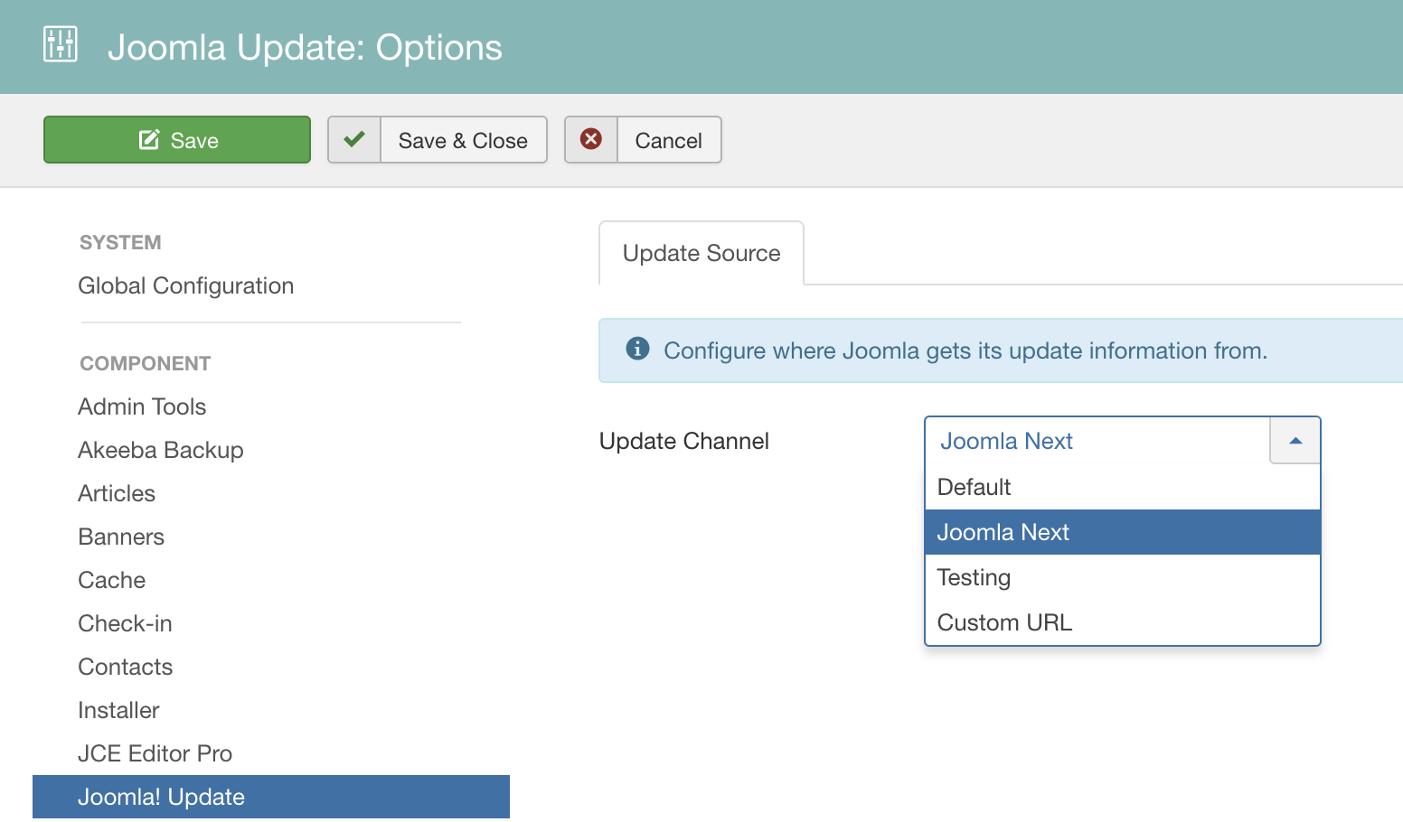 Joomla Update Options