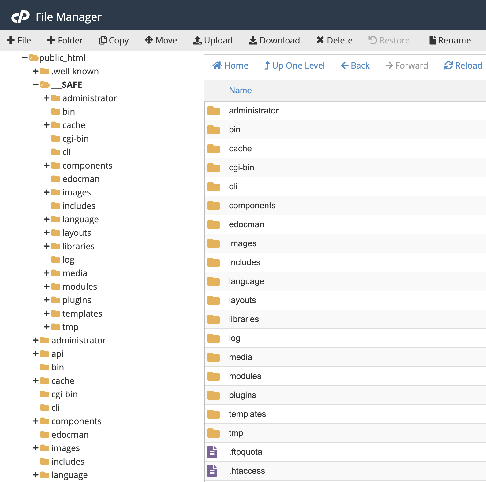 Control Panel File Manager