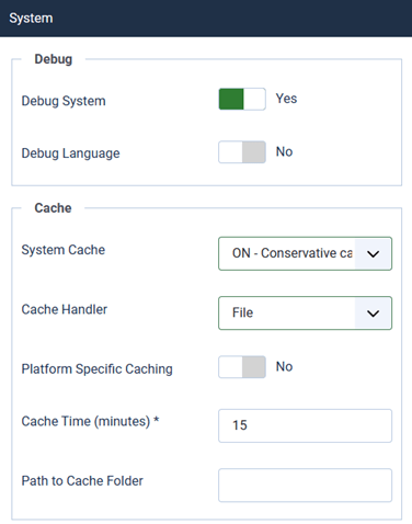 Cache settings are turned on