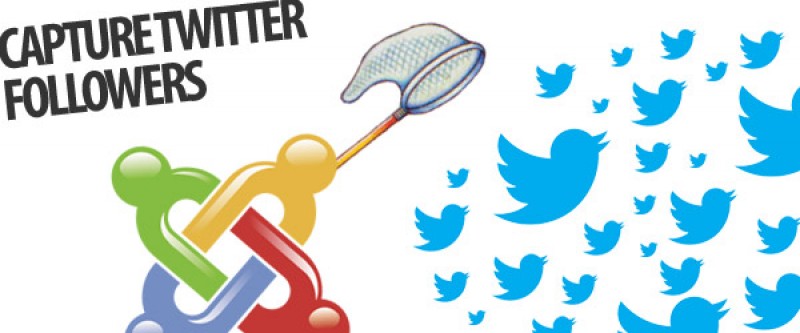 Six Creative Ways For Joomla Developers to Boost Twitter Followers