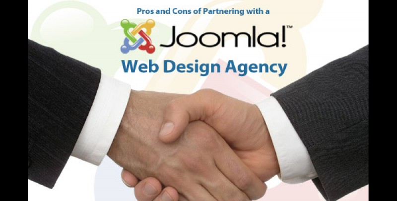 Pros and Cons of Partnering with a Web Design Agency