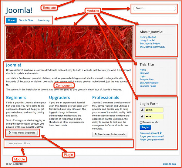 Joomla the book for everyone 