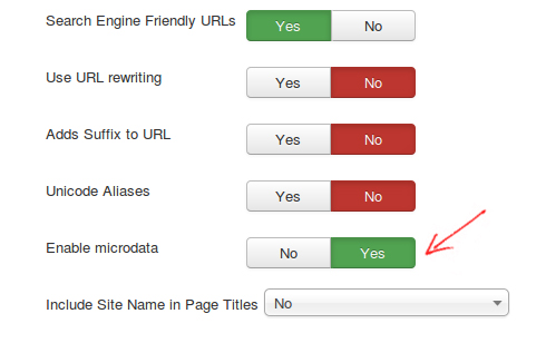 Microdata settings in Joomla Administration Global Configuration