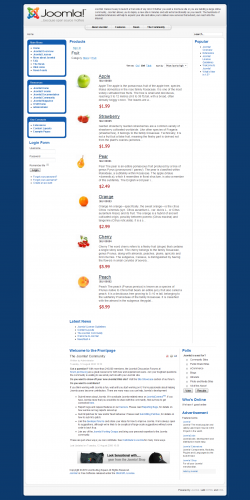 ecwid site interface